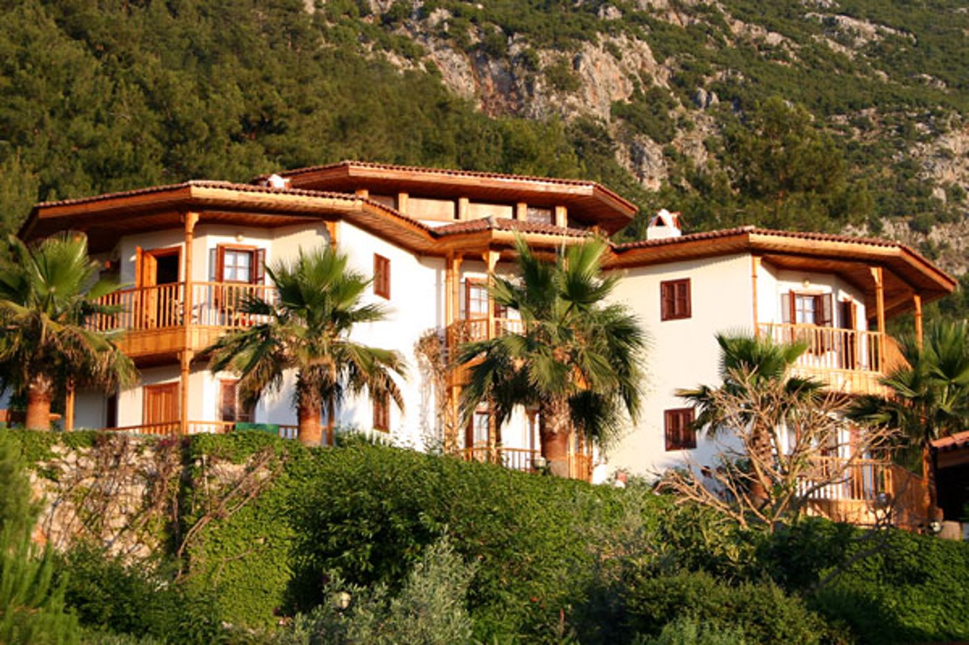 Montana Pine Resort Hotel