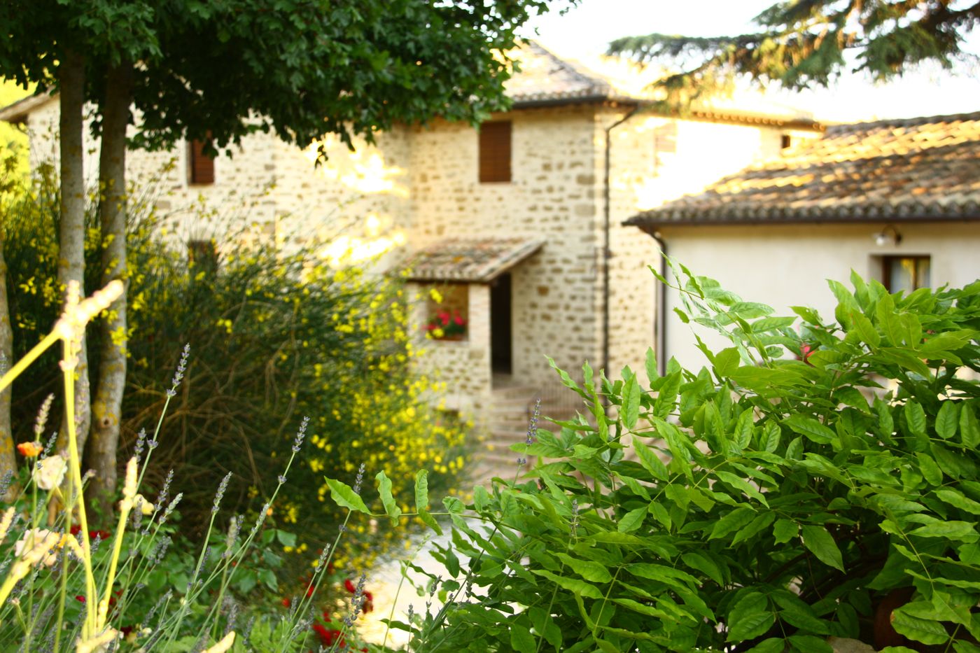 Tavola dei Cavalieri Il Borgo-Italy-ASSISI-General view-10