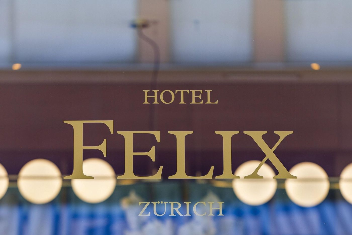 Felix-Switzerland-Zurich-General view-2