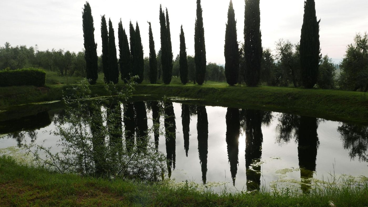 CA-Bianca-General-view-44