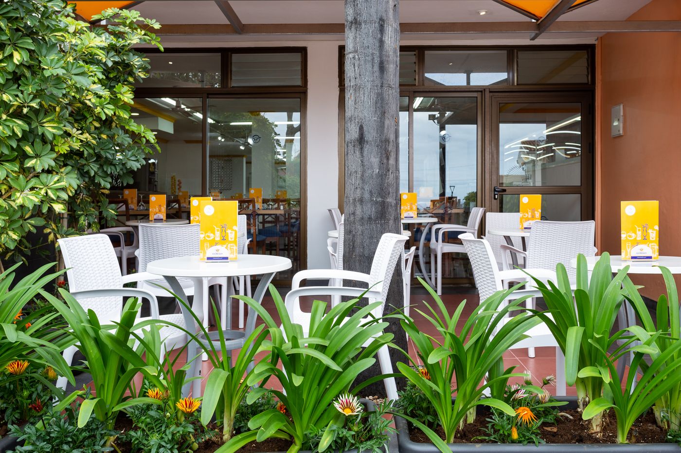 Globales-Acuario-Bar-15