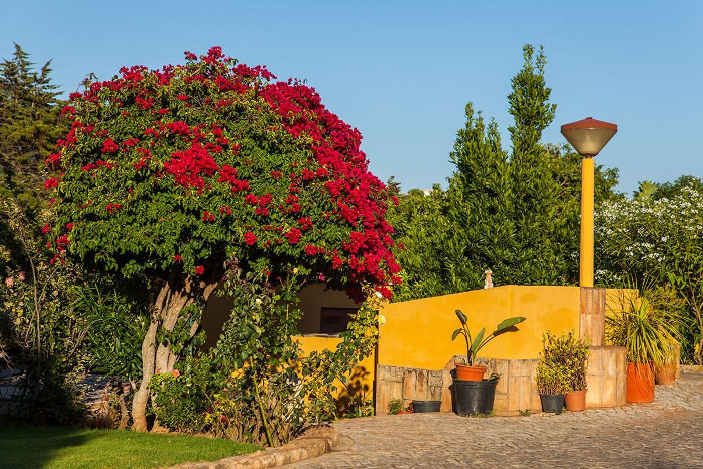 Montinho-de-Ouro-General-view-10