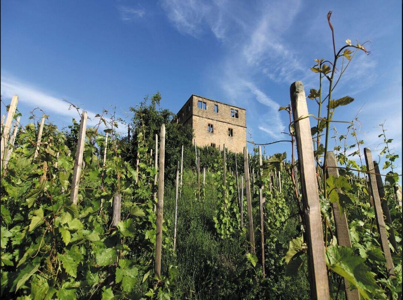 Gästehaus Schlegel-Germany-KERNEN-Room-7