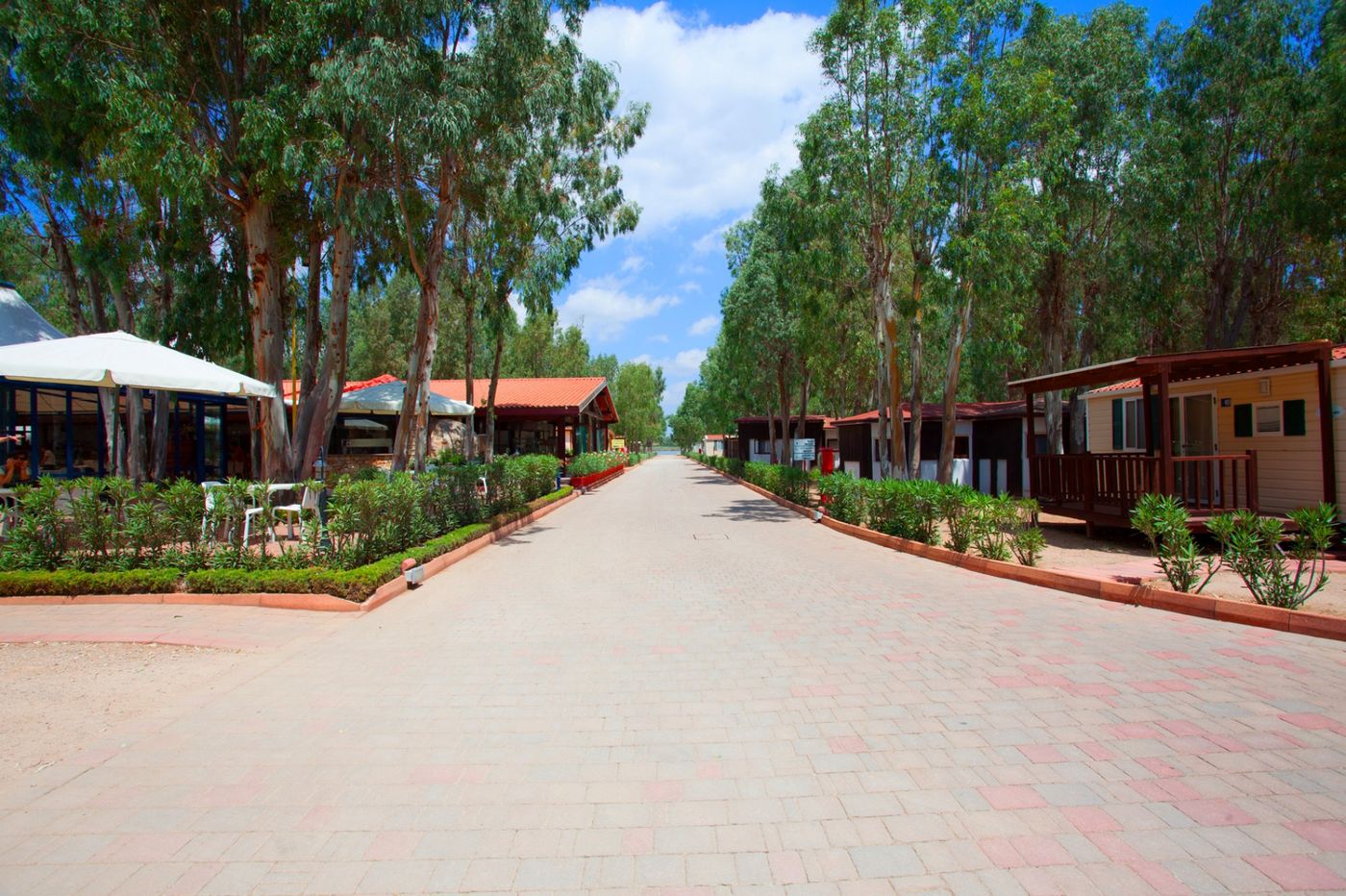 Camping-Village-Laguna-Blu-General-view-10