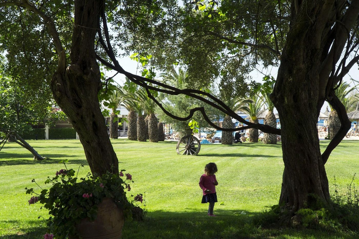 Samara-General-view-62