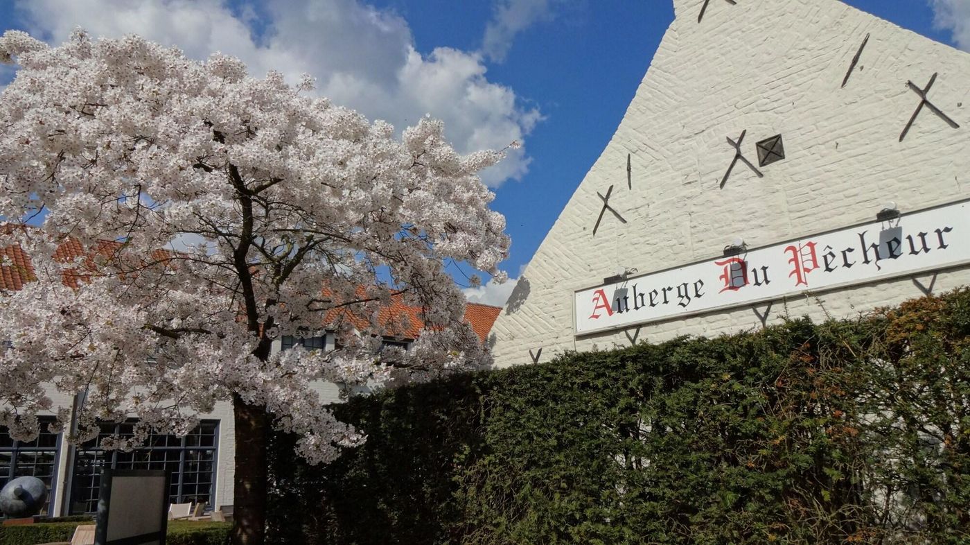 Auberge du Pêcheur-Belgium-SINT-MARTENS-LATEM-General view-3