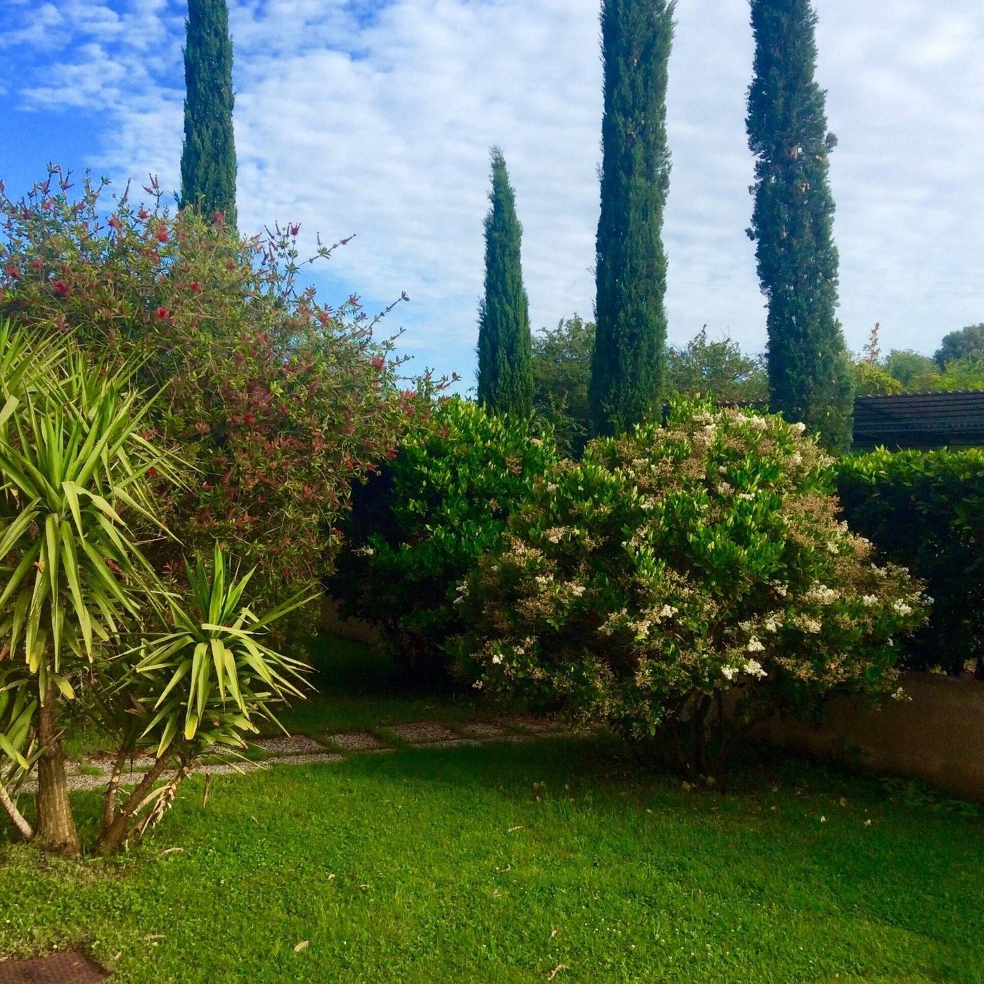 B-B-Monte-Di-Bu-General-view-4