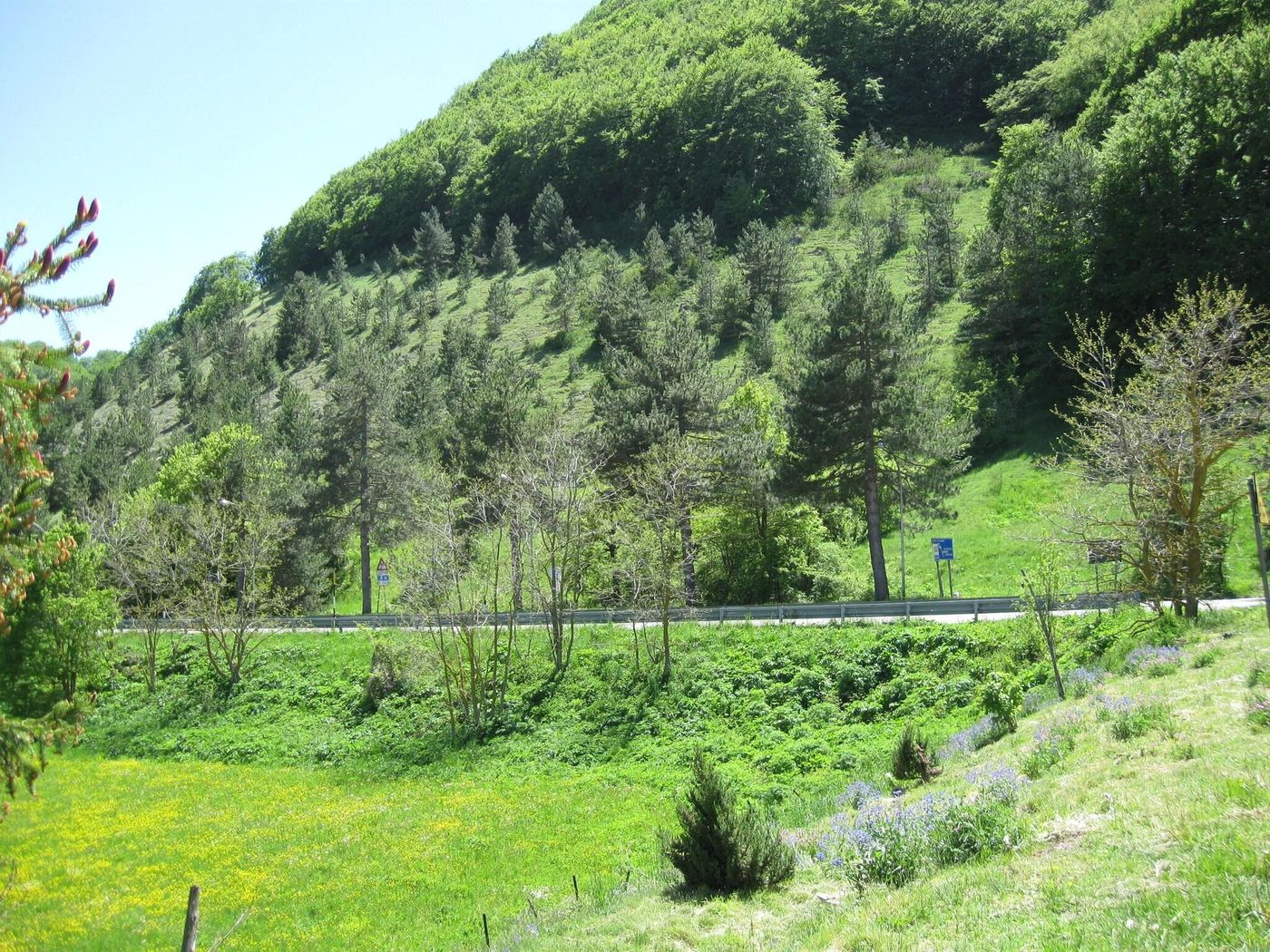 Holidays-Sports-and-Entertainment-25