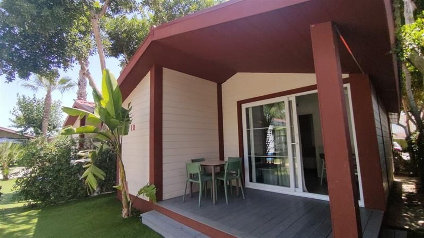 26.02.26 Alannia Guardamar