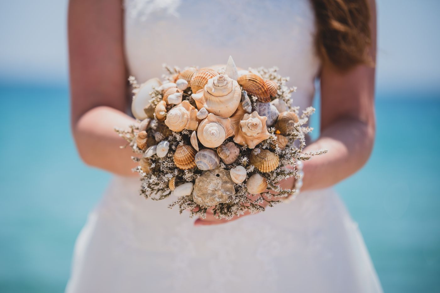 Cormoran-General-view-78