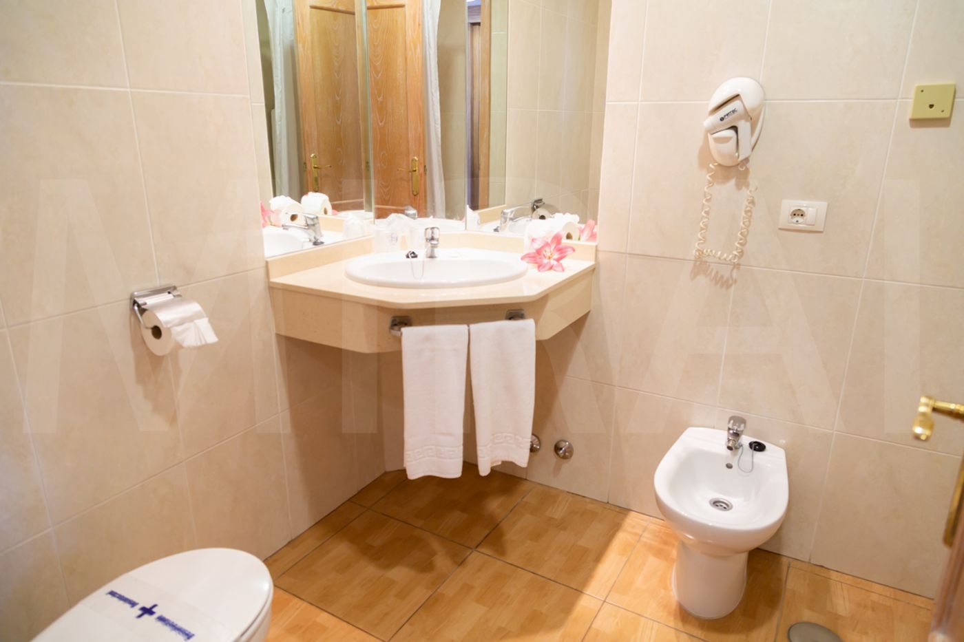 Casa-del-Sol-Room-31