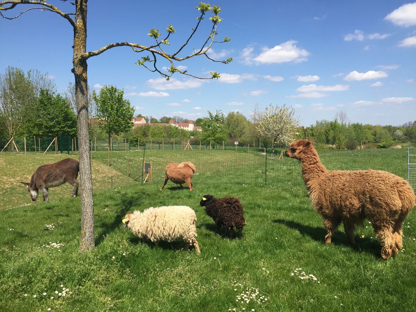 Campanile-Val-de-France-Ex-Kyriad-Disneyland-Sports-and-Entertainment-64
