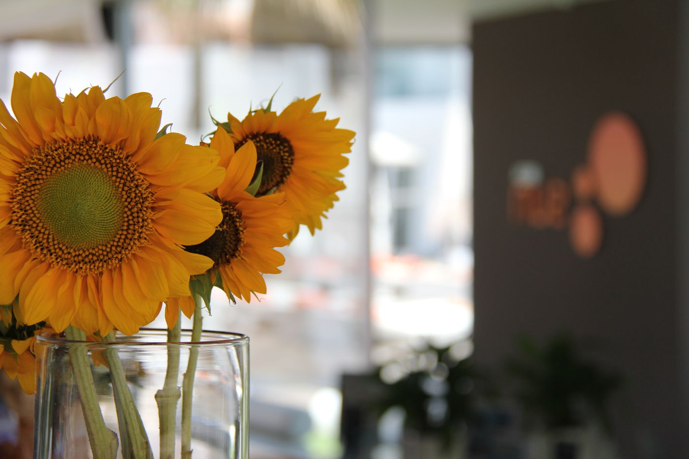 Ibiza-Sun-Apartments-Lobby-29