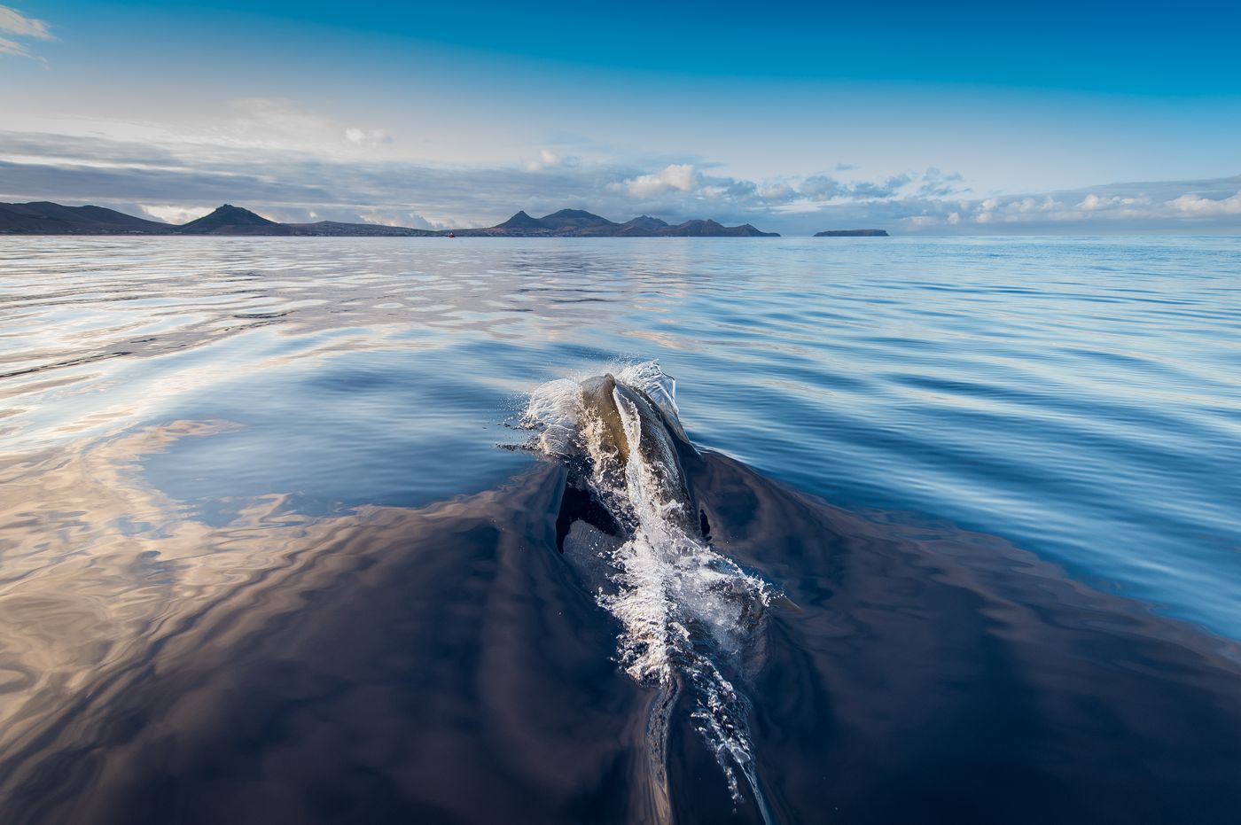 Vila-Baleira-Porto-Santo-Sports-and-Entertainment-60