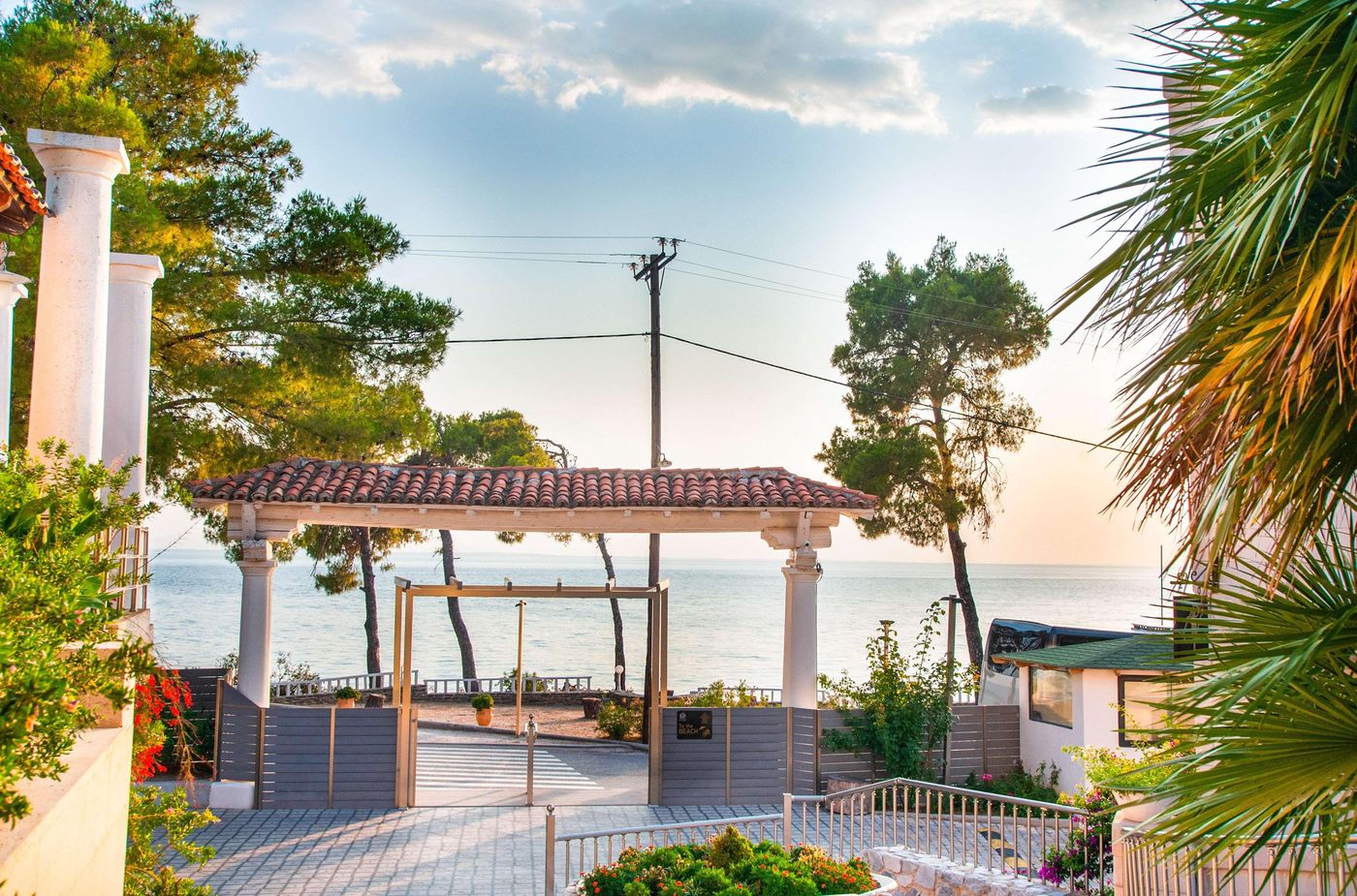 Athena-Pallas--General-view-95