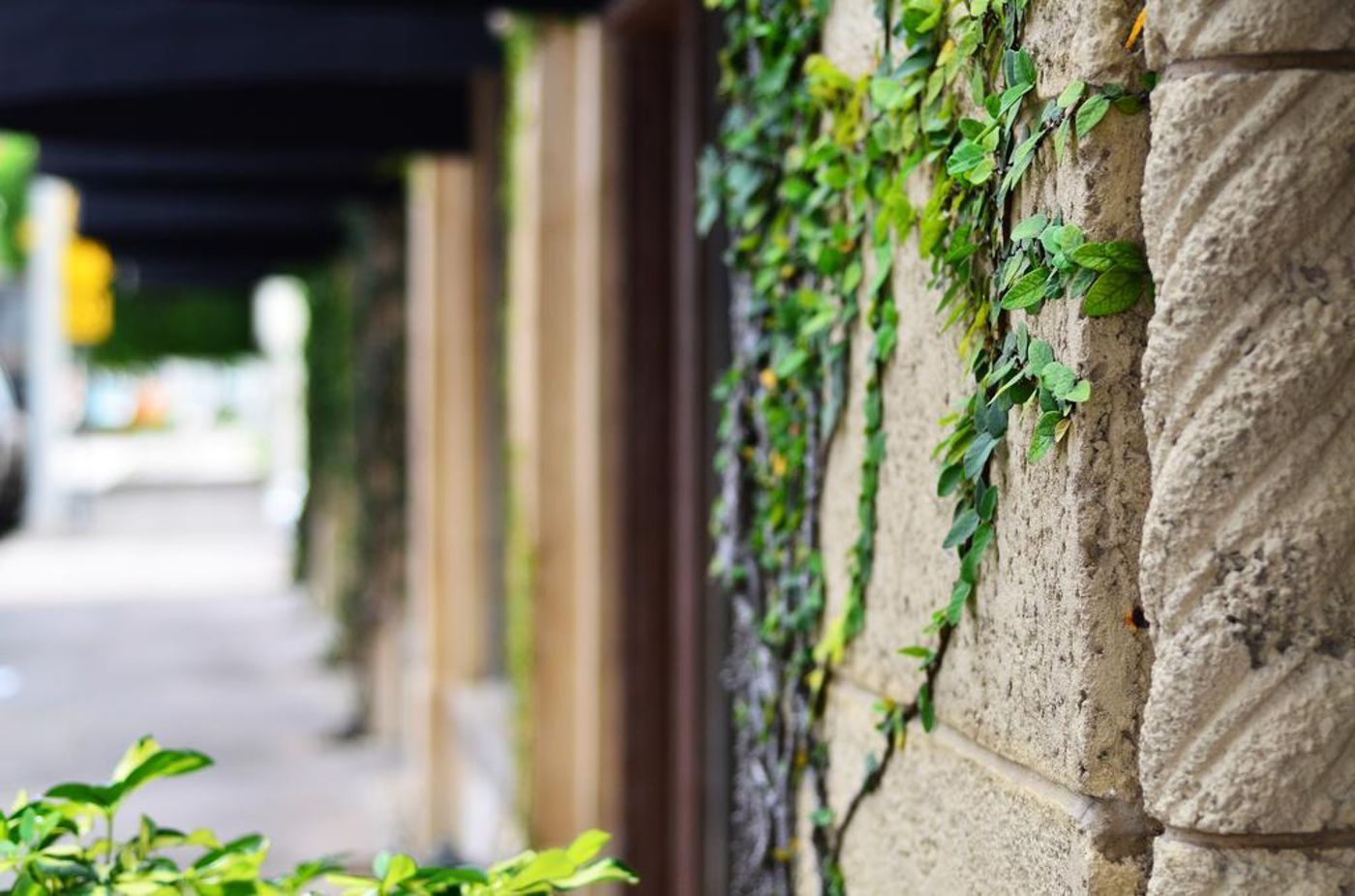 Hotel St. Michel - United States - CORAL GABLES - General view - 6