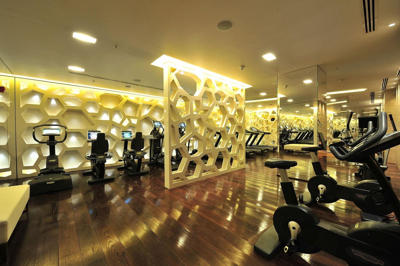 Hyatt-Centric-Levent-Istanbul-Sports-and-Entertainment-64