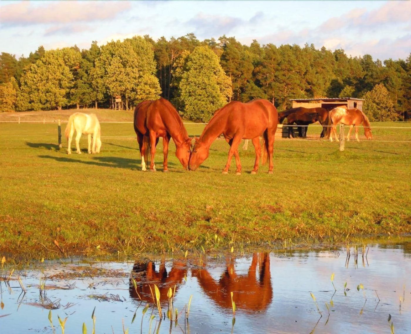 Gut Sarnow-Germany-SCHORFHEIDE-General view-5