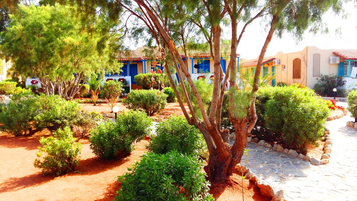 Zorbas-Hotel-Beach-Village-General-view-25