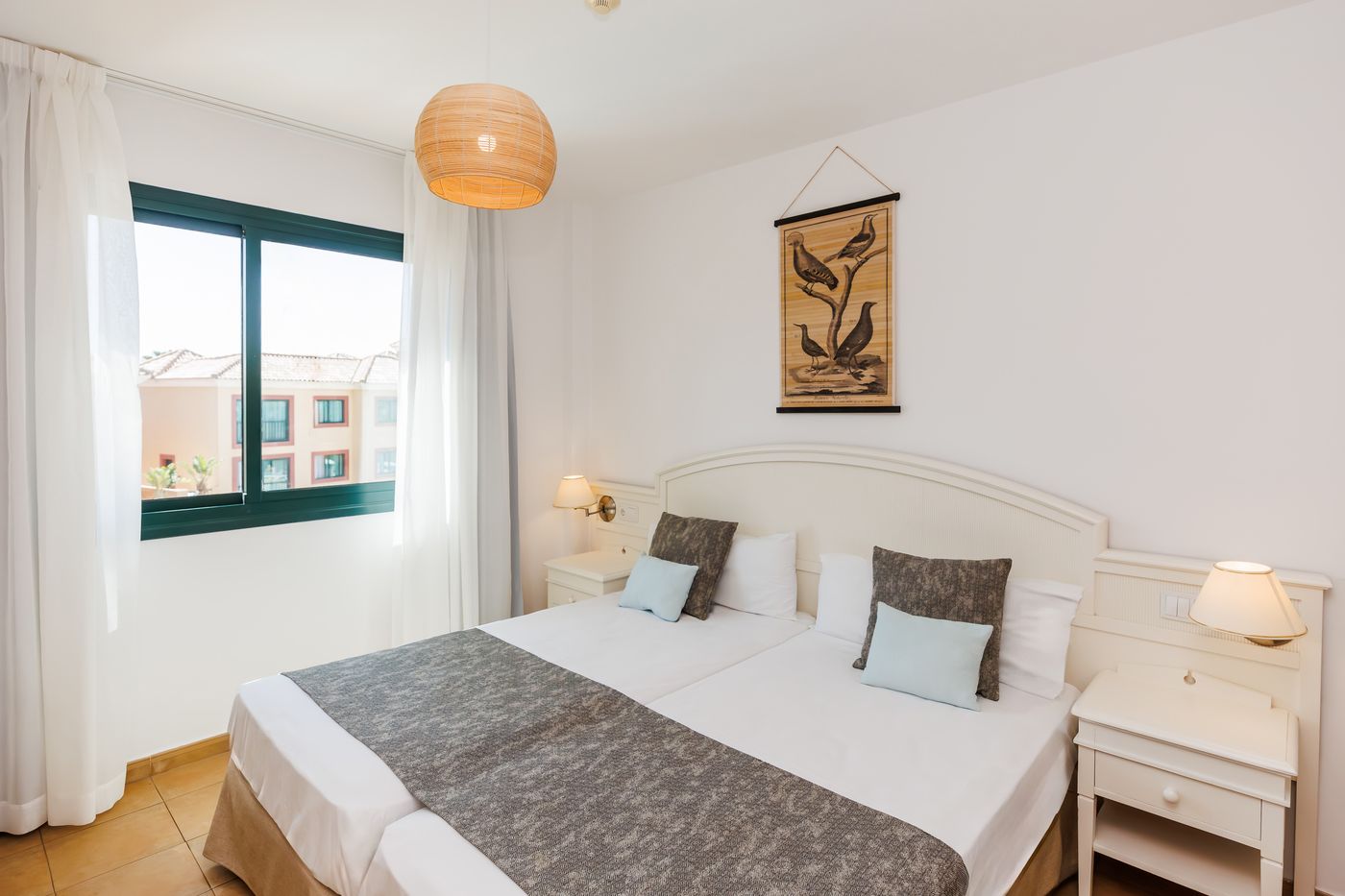 O7 Aloe Corralejo-765 FAM.jpg