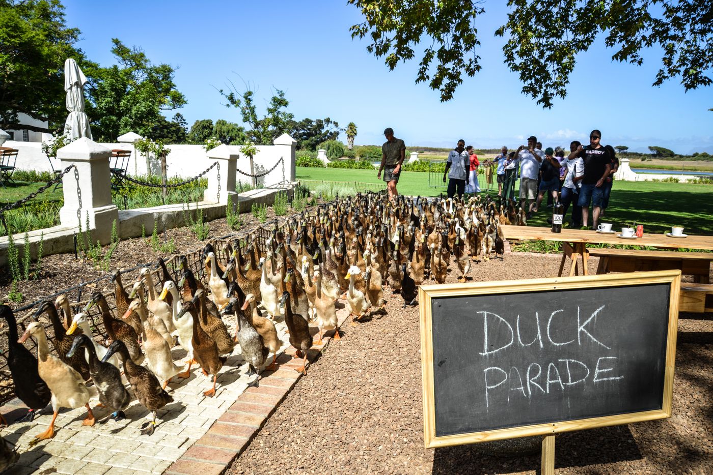 More-Quarters-Neighbourhood-Hotel-Sports-and-Entertainment-32