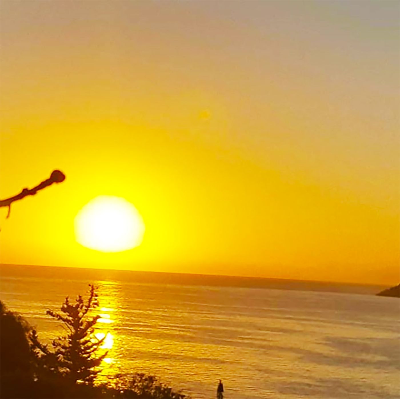 Eva-Mare-Hotel-and-Apartments---Adults-Only-Restaurant-85