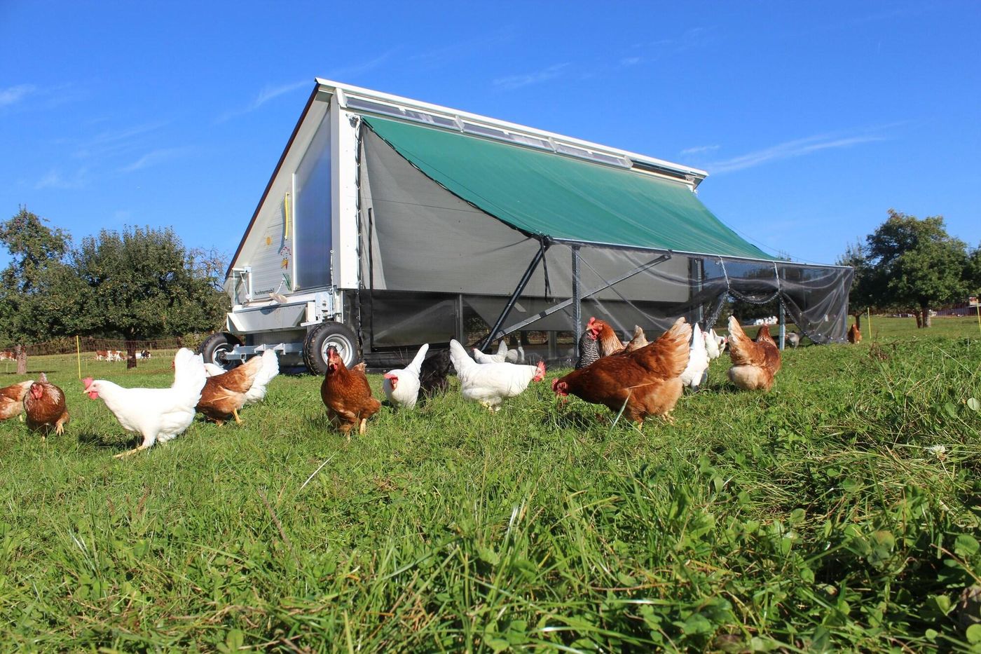 Gasthaus Zum Bauernhof-Switzerland-OBERLUNKHOFEN-General view-3