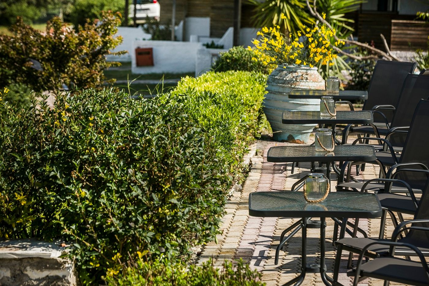 Metaxatos-Apartments-Pool-23