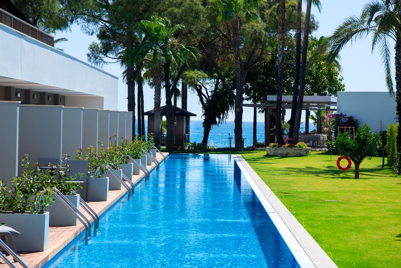 Acanthus Cennet Barut Collection