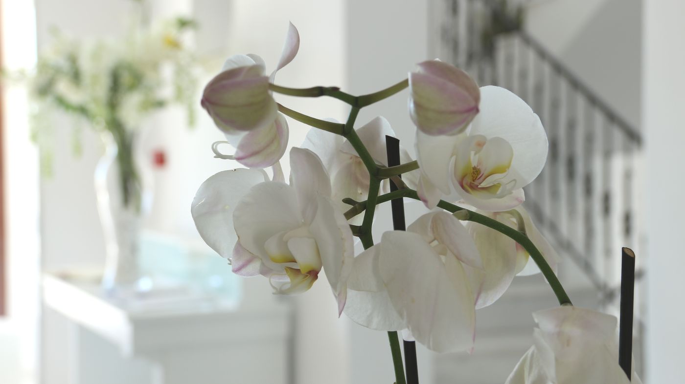 Astro-Palace-Hotel-Lobby-37