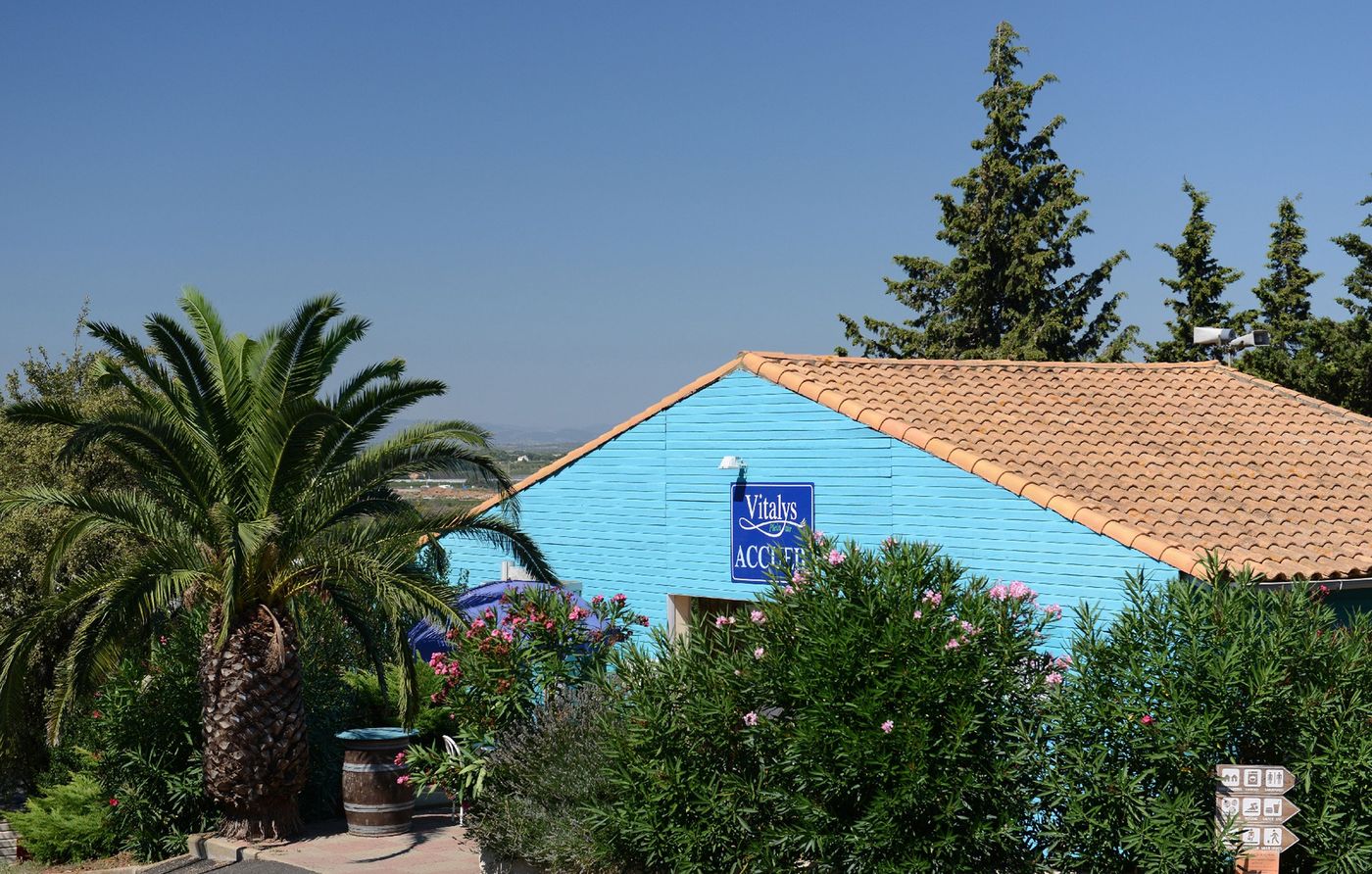 Domaine de Plein Air Odalys La Pinède - France - AGDE - Lobby - 2