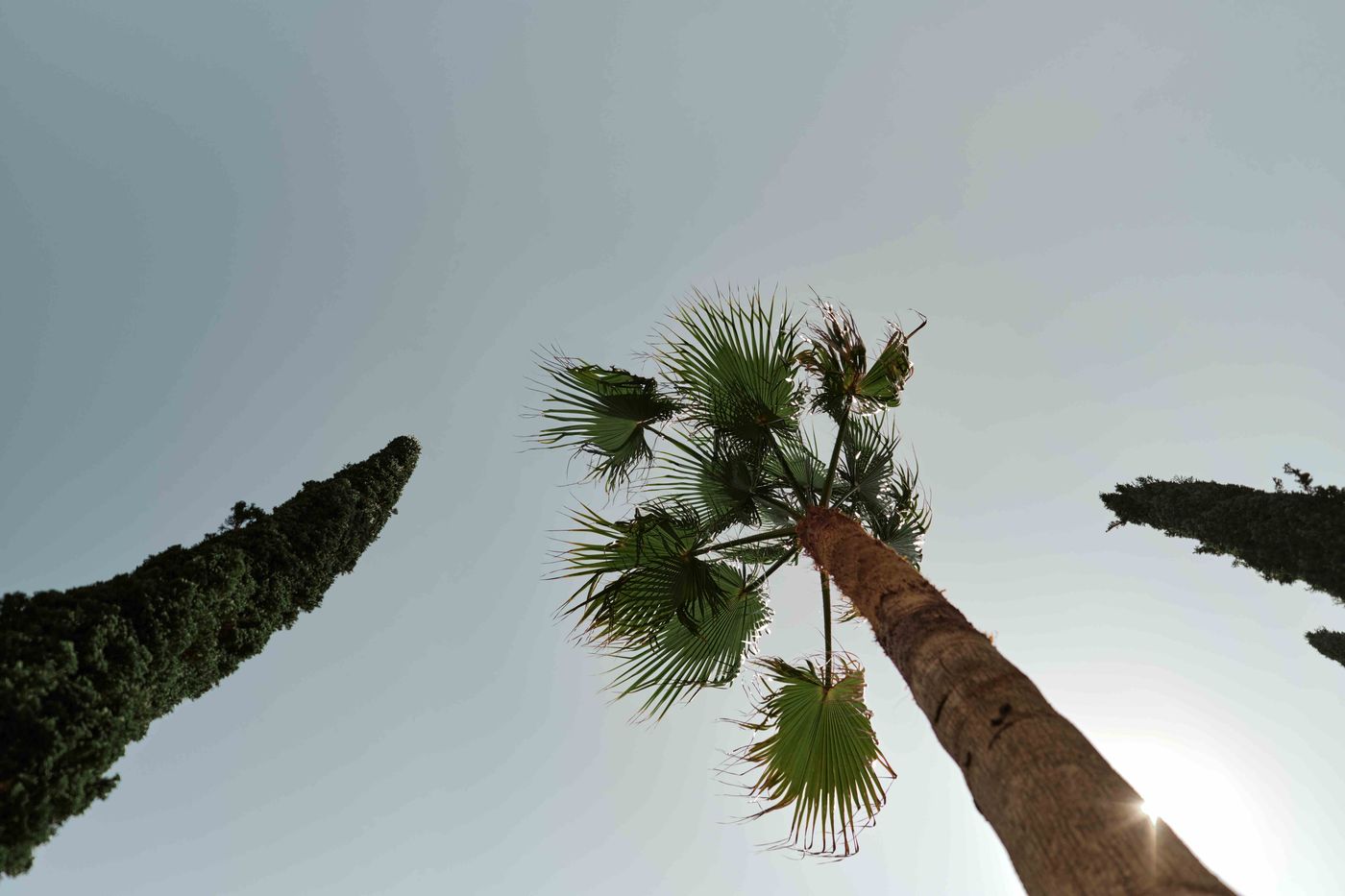 Hotel Ga Palace - Portugal - Porto - General view - 7