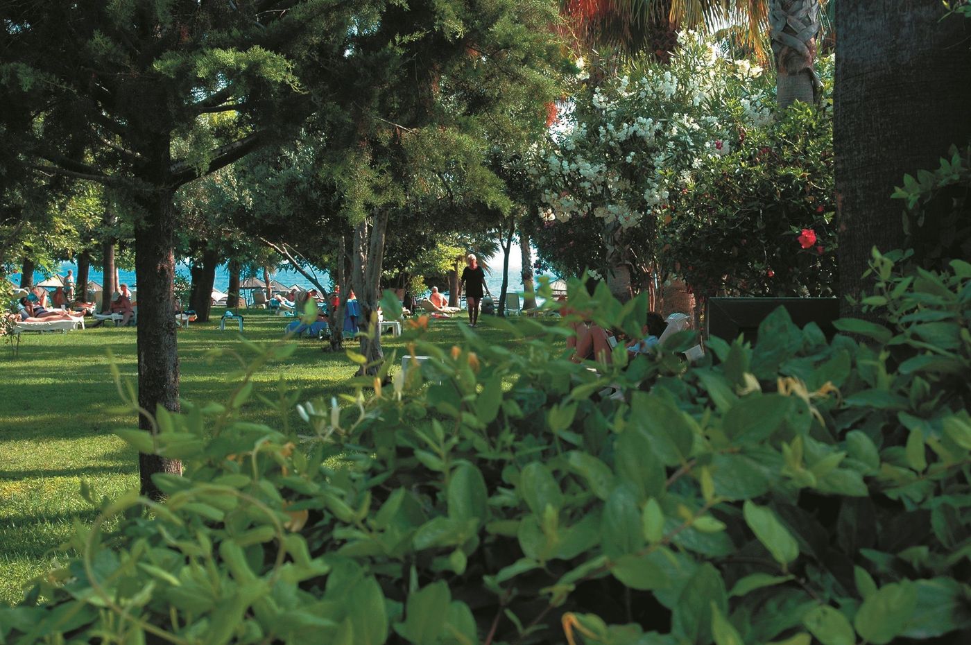 Defne-Ana--Terrace-6