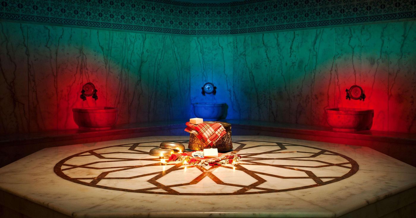 Papillon-Belvil-Sports-and-Entertainment-97