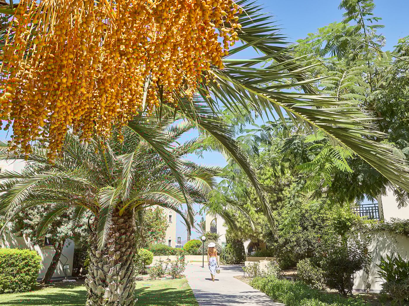 Grecotel-Casa-Paradiso-General-view-14