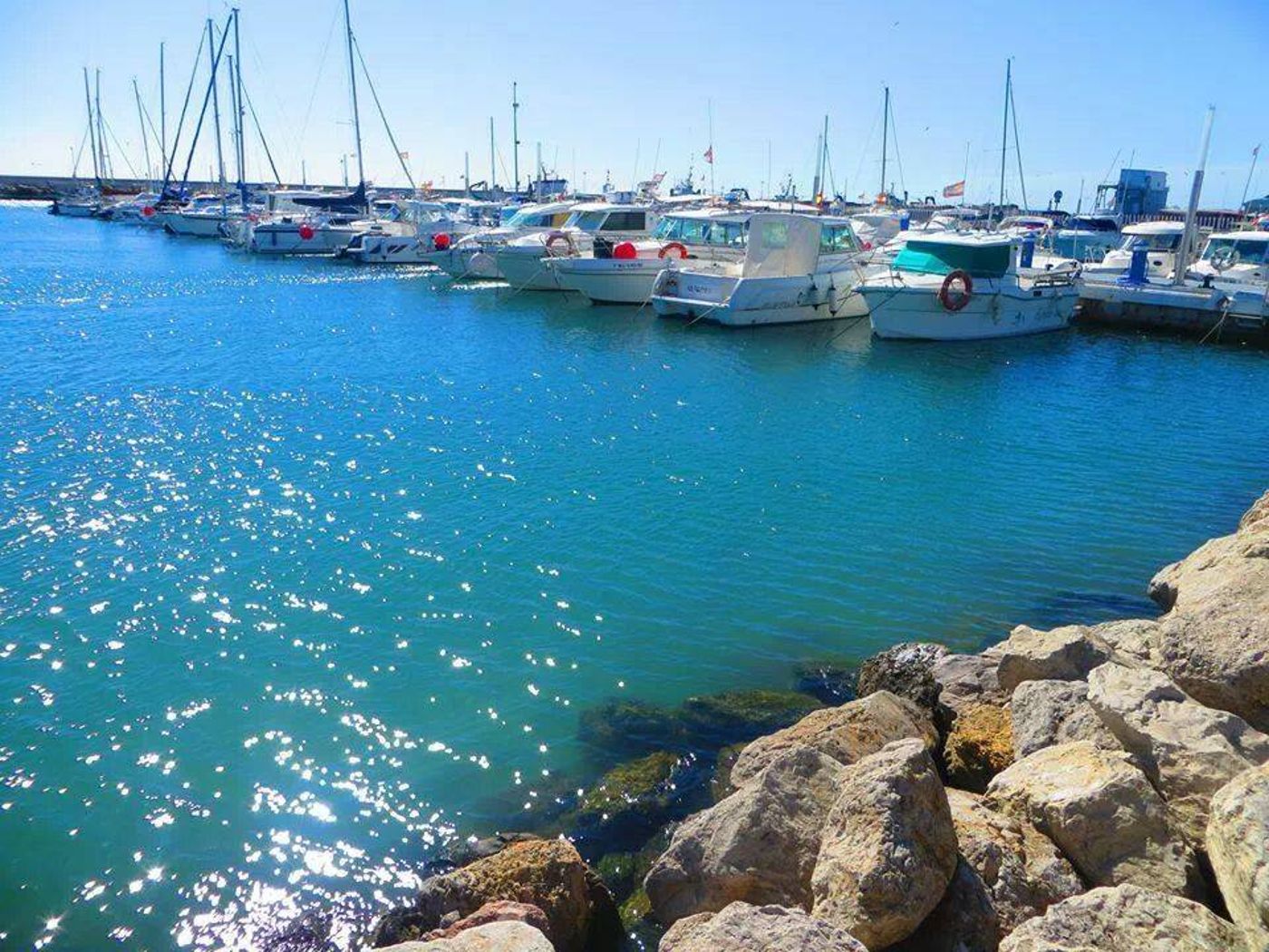 Miraya-Sports-and-Entertainment-46