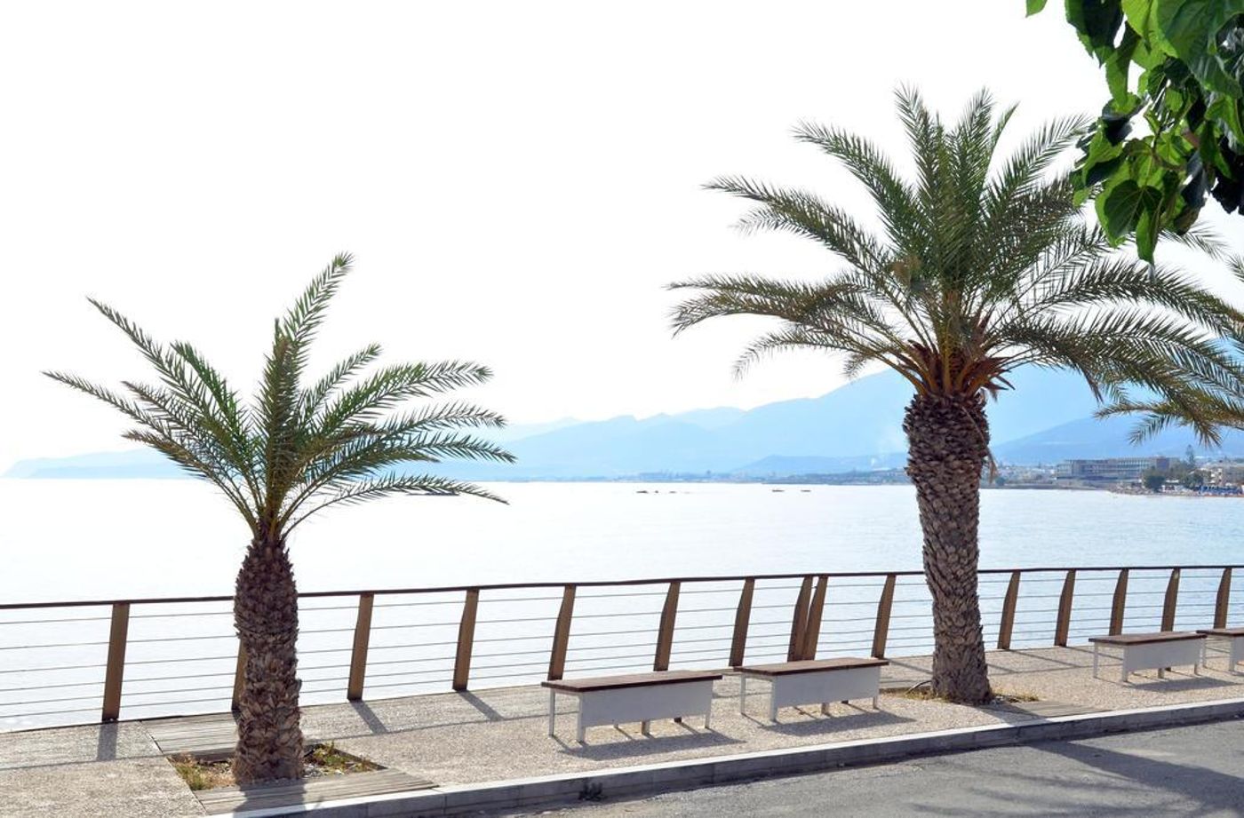 Thisvi-General-view-20