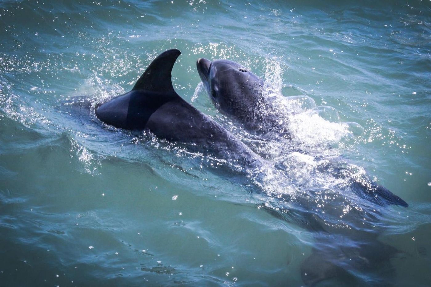 Rio-Art-Hotel-Sports-and-Entertainment-34