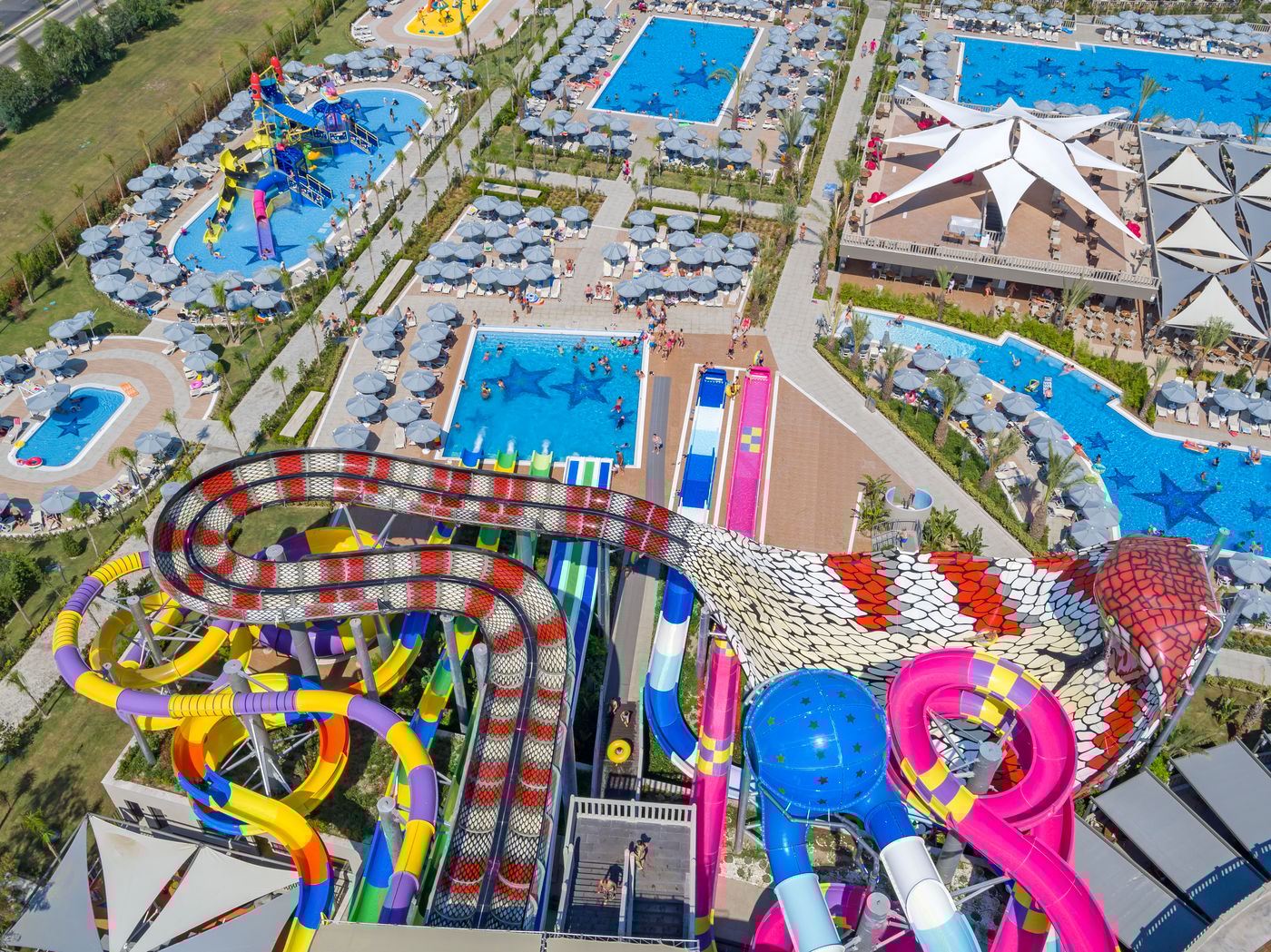 Royal Seginus (28).jpg