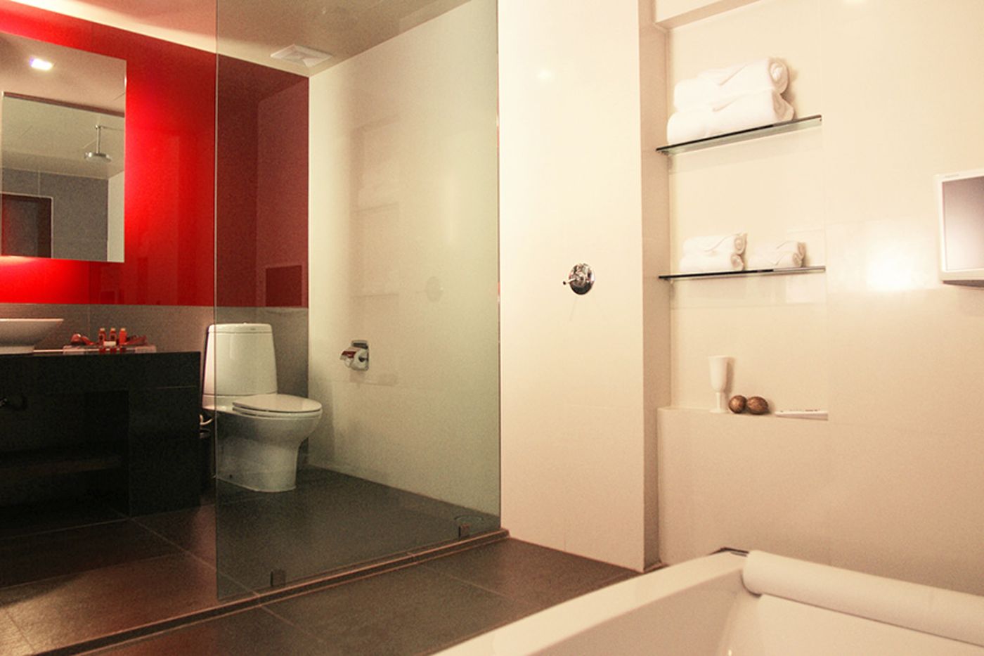 Z Through by The Zign