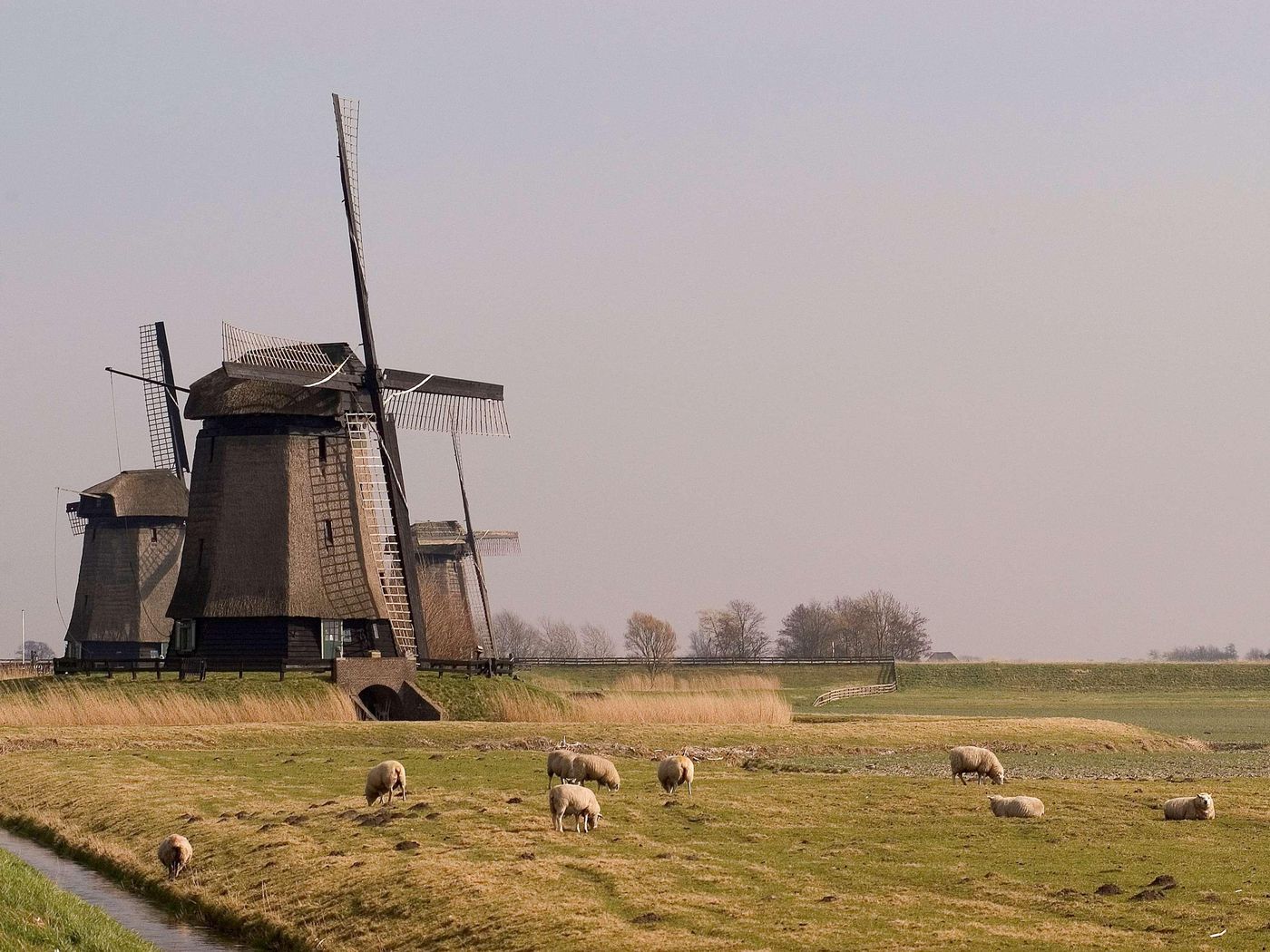 ibis-Amsterdam-Centre-General-view-80