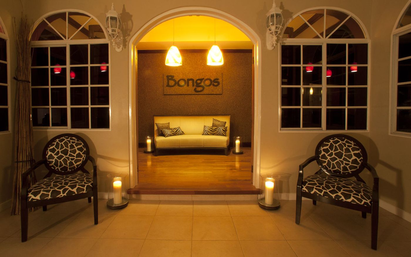 bongos-image-7