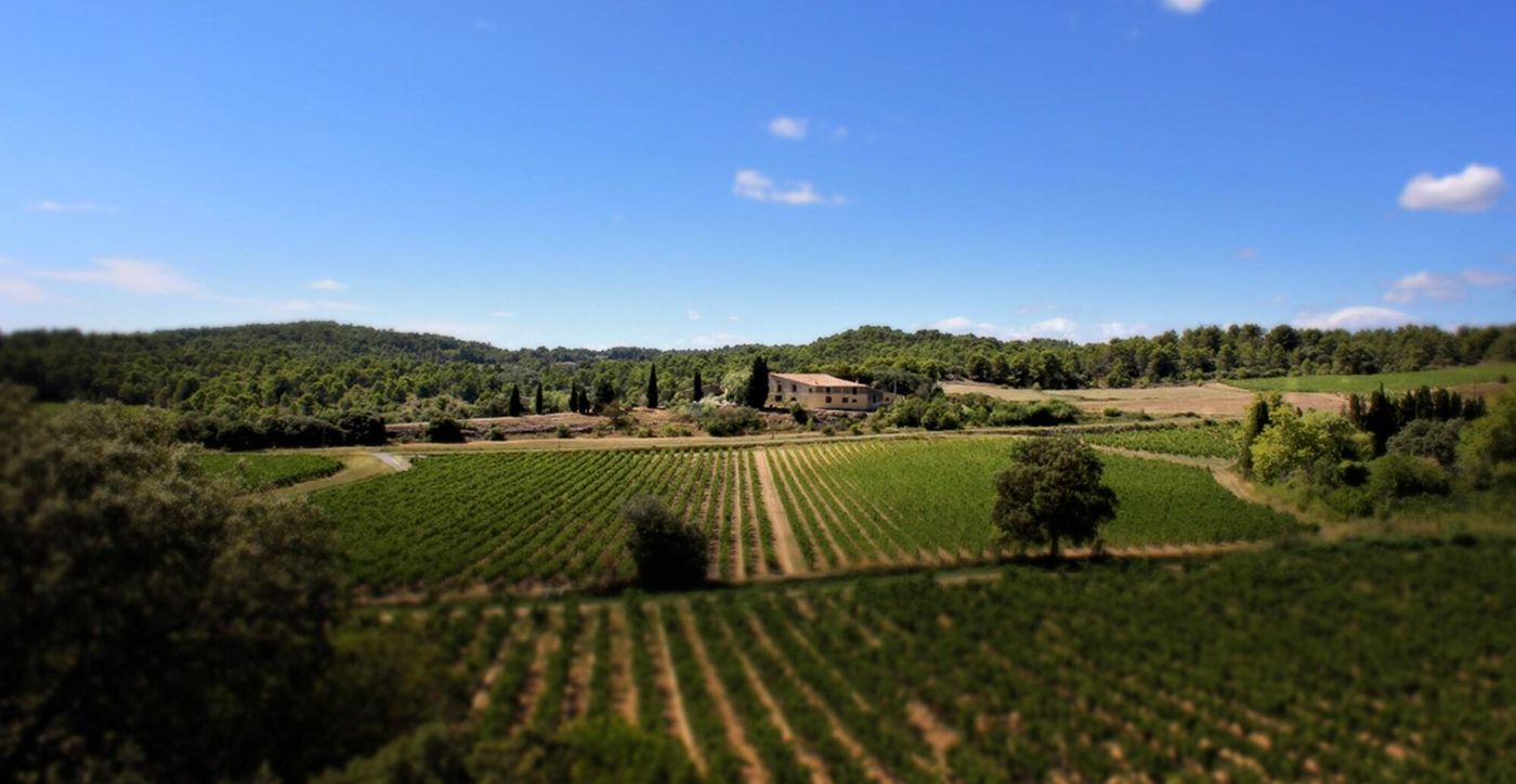 Domaine De Palatz-France-LAURE-MINERVOIS-General view-2