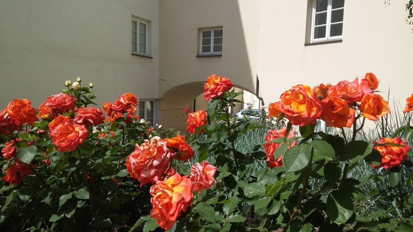 Domus Maria-Lithuania-VILNIUS-General view-4