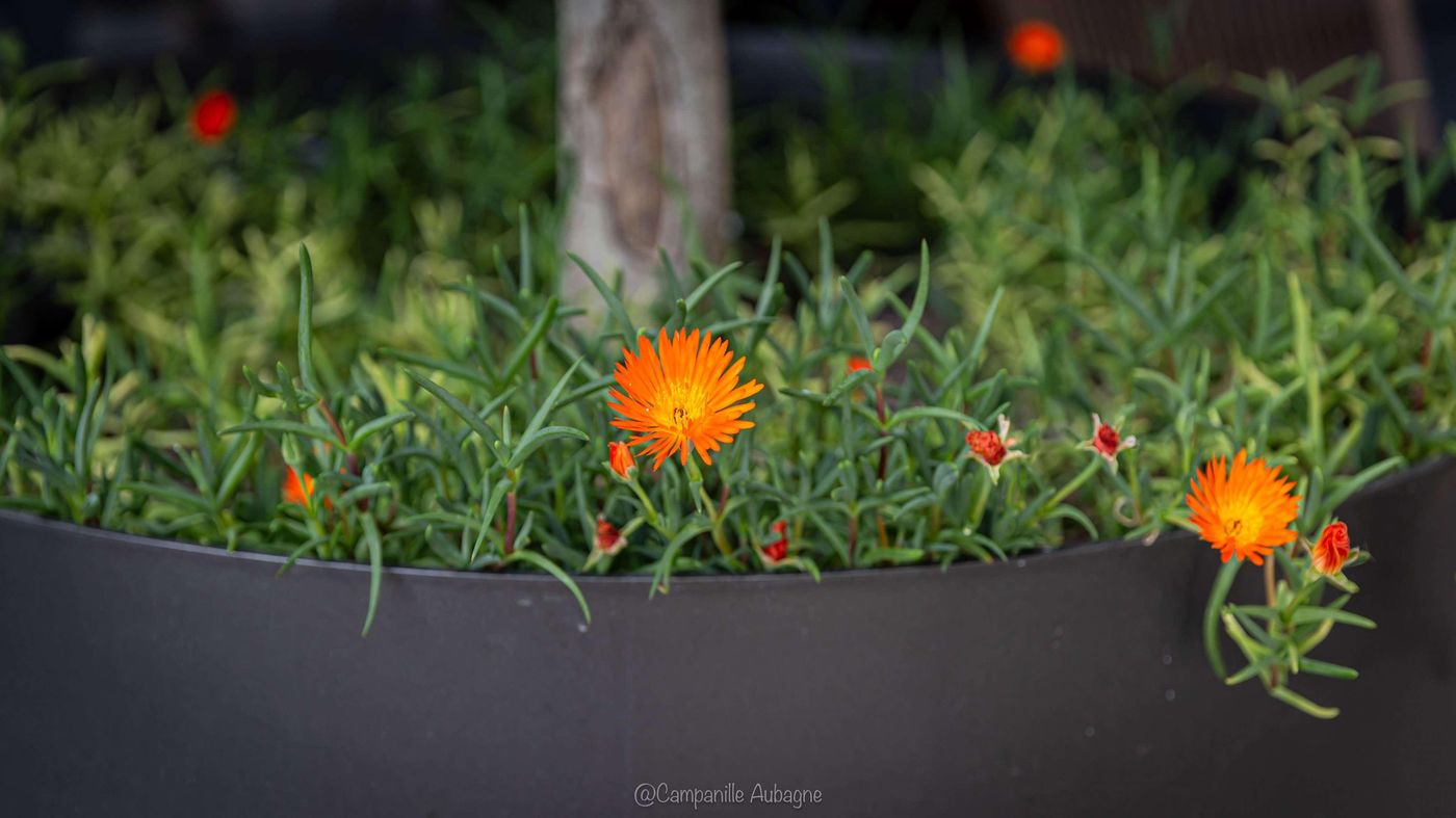 Campanile Marseille Est - Aubagne-France-Aubagne-General view-10