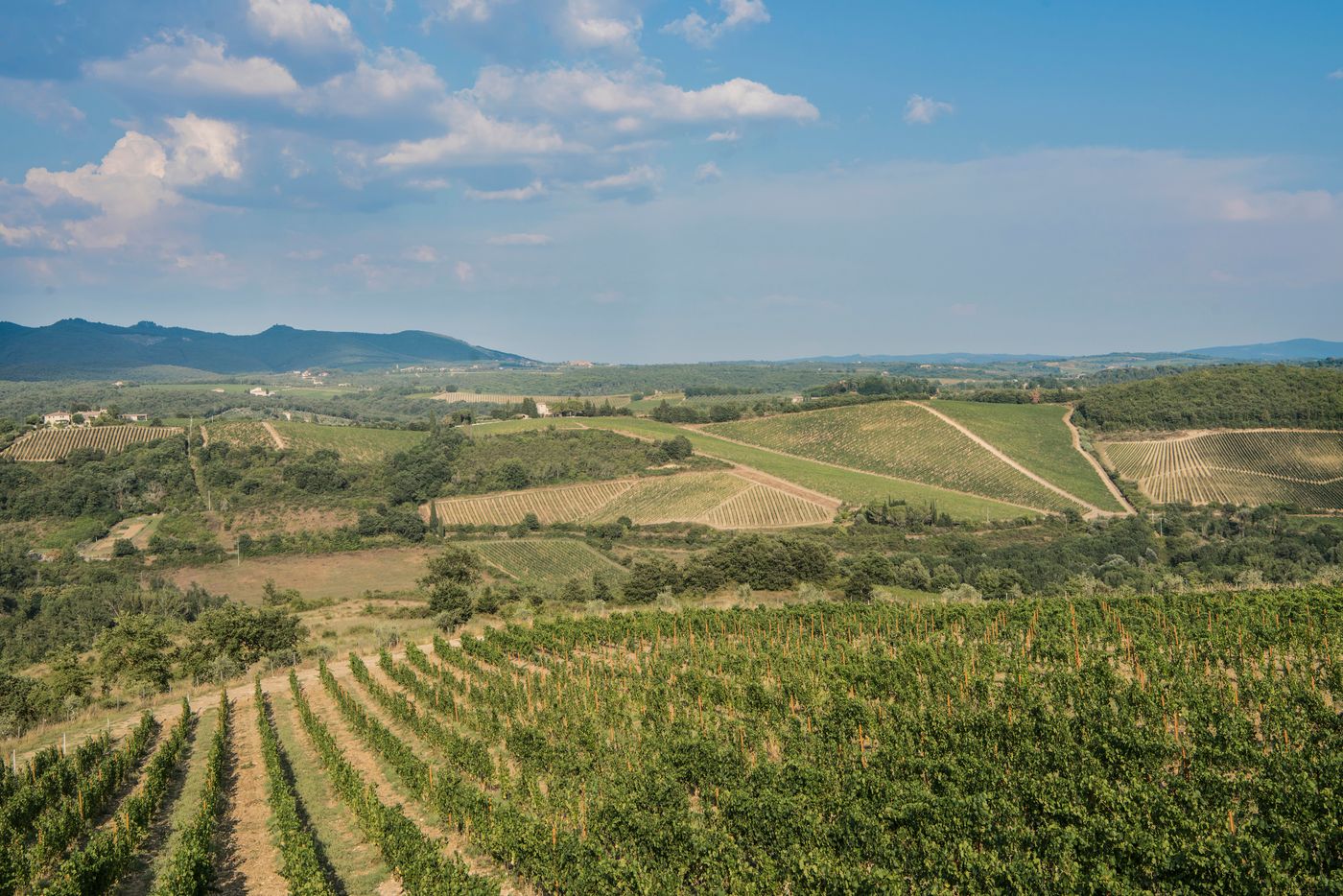 Hotel Le Fontanelle-Italy-PIANELLA, CASTELNUOVO BERARDENGA - SIENA-General view-8