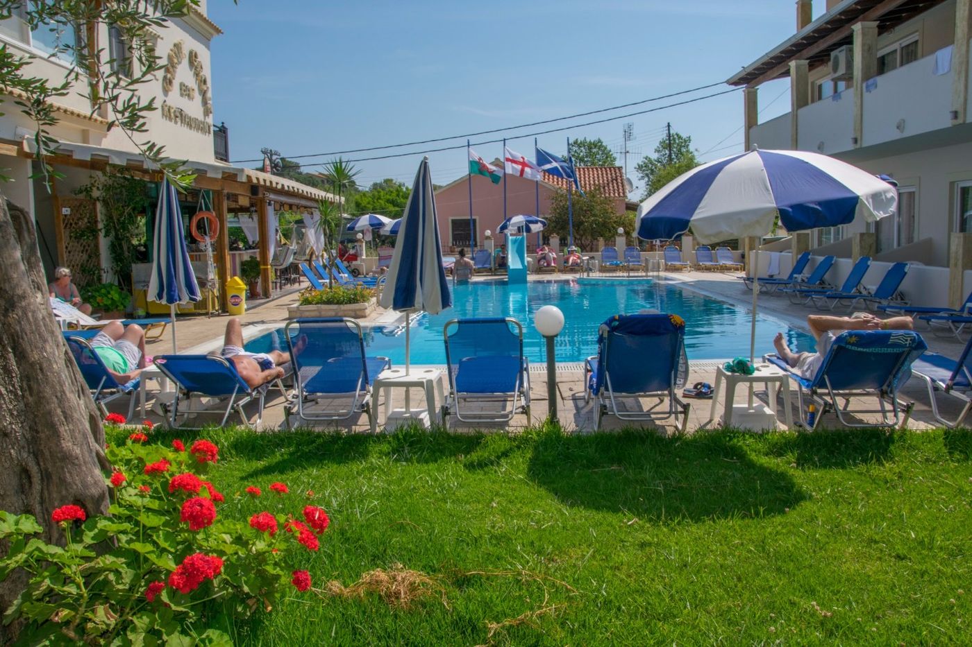 Olive Grove - Sidari