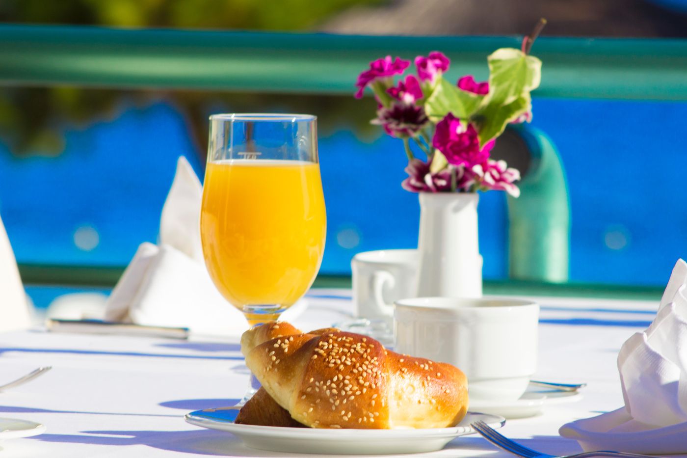 Spongiola-Terrace-77