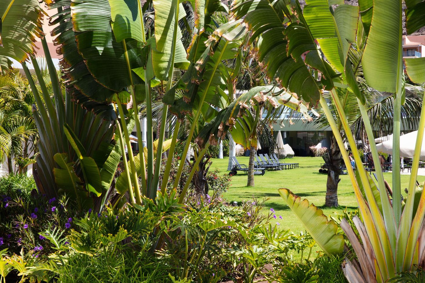 Radisson-Blu-Resort---Spa-Mogan-General-view-23