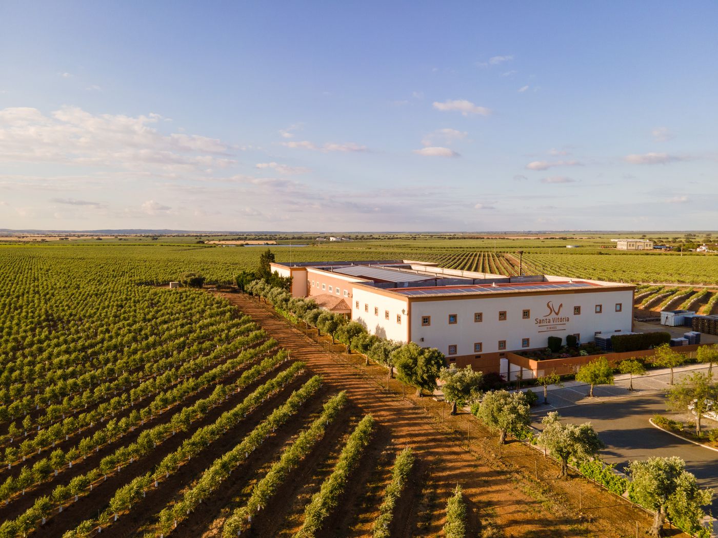 Vila Gale Alentejo Vineyards (Clube de Campo)-Portugal-BEJA-General view-6